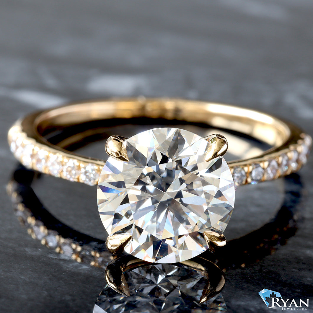2.86ctw Round Solitaire with Pave Shoulders and Inner Pave Claws Ring