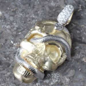 Skull Head with Double Snake Wrap