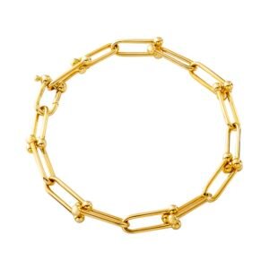 Hardwear High Polished Link